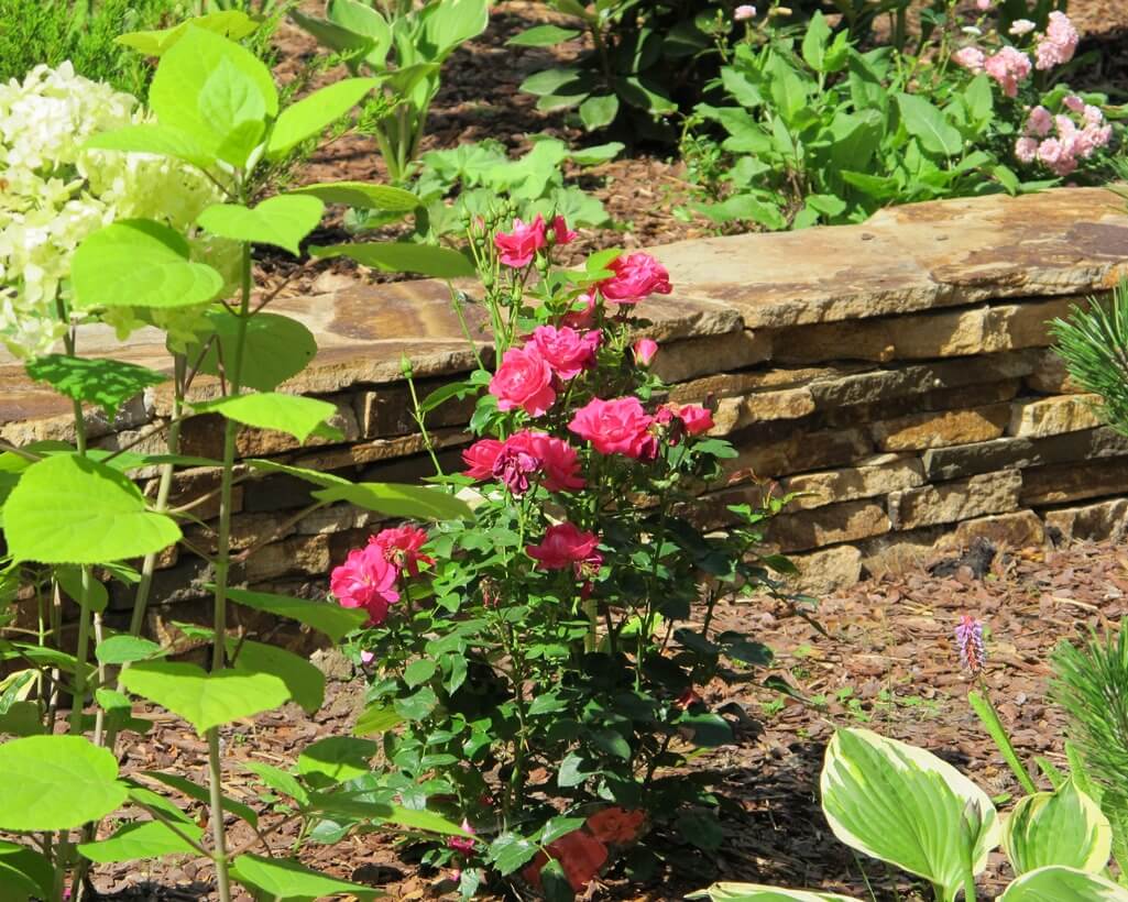 Проект Истринские холмы